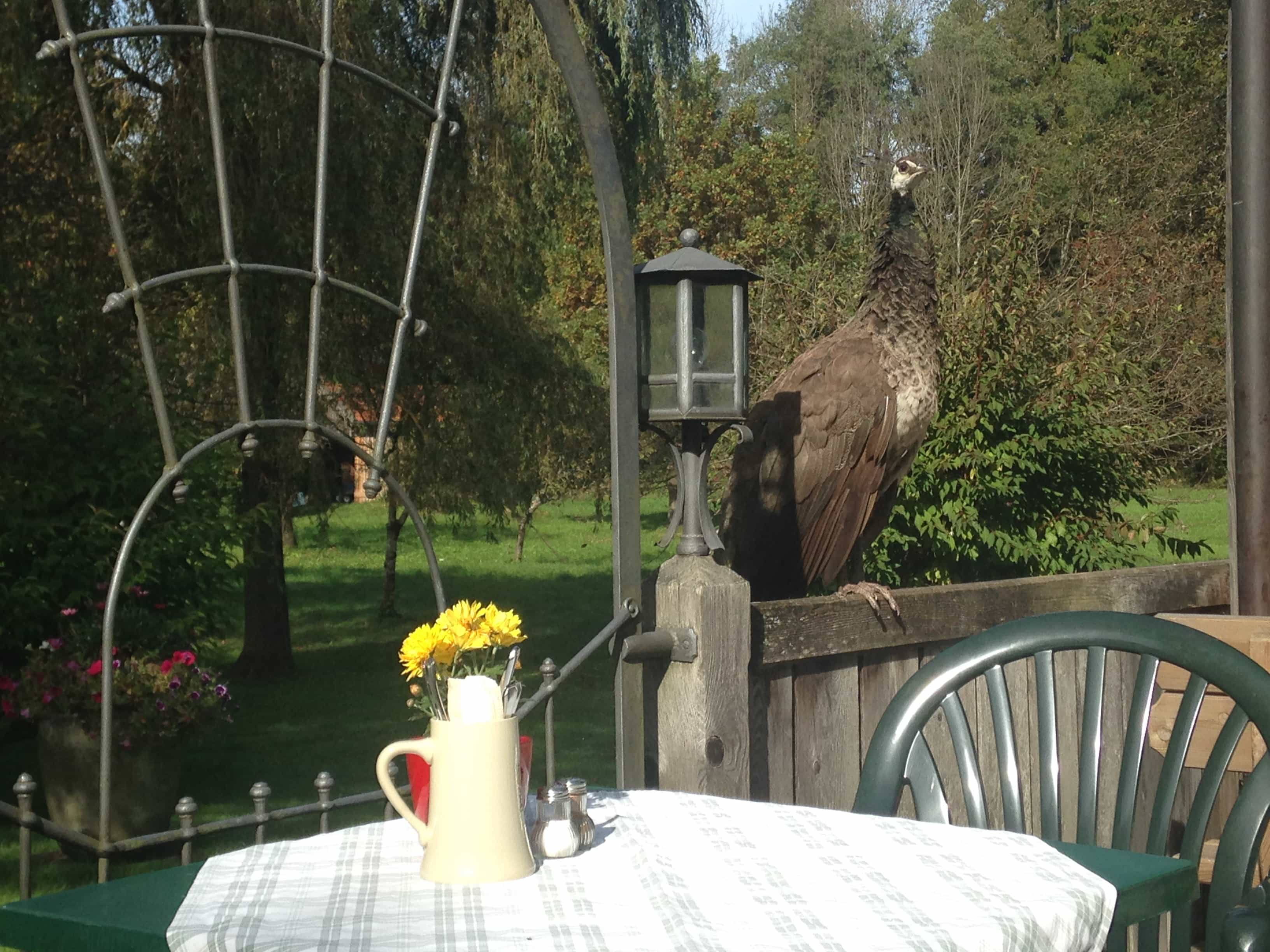 toelzer wege fluesse und seen walgerfranz