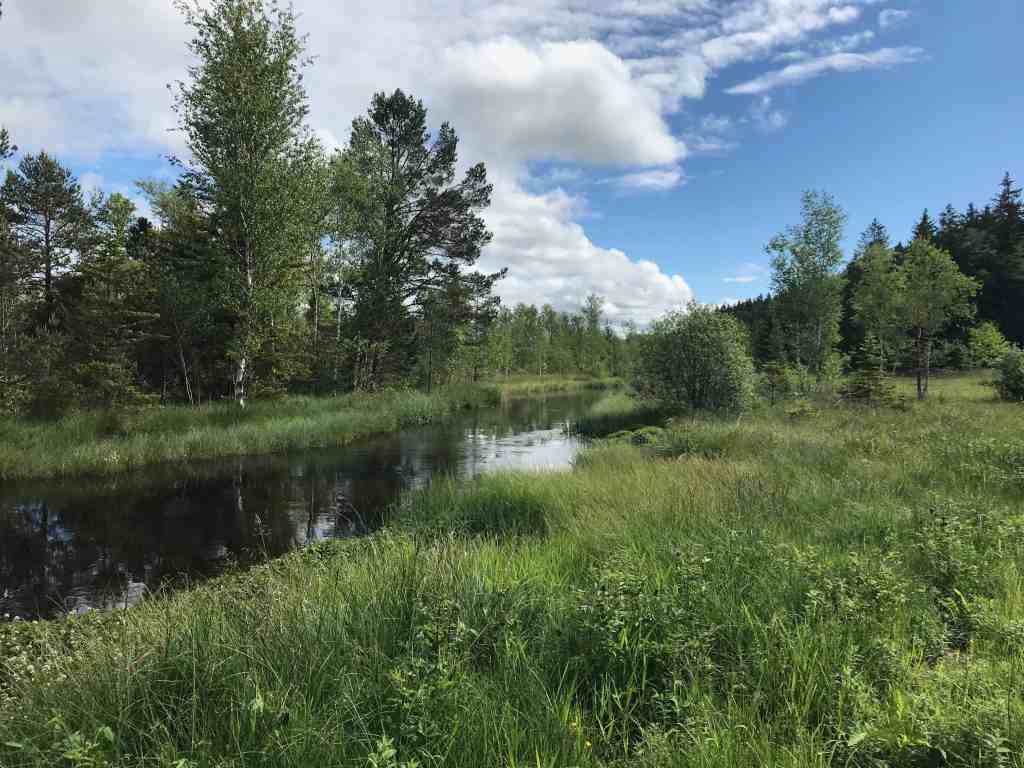 toelzer wege vitalwege ellbacher moor bad toelz