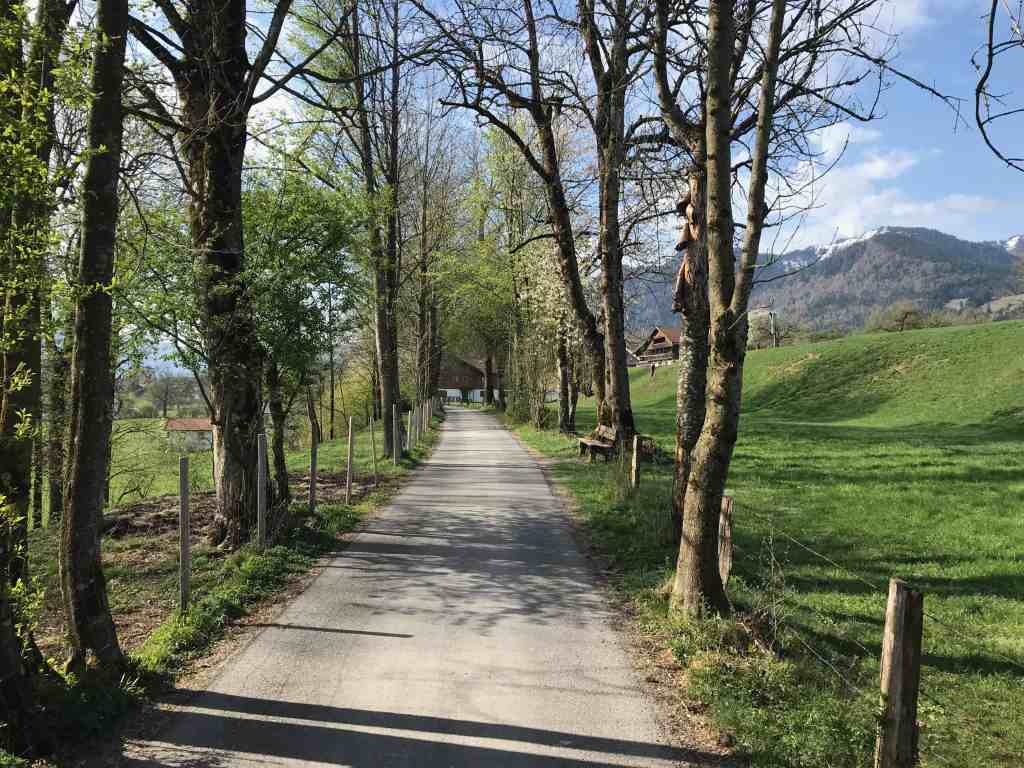 toelzer wege vitalwege lenggrieser hoehenweg west
