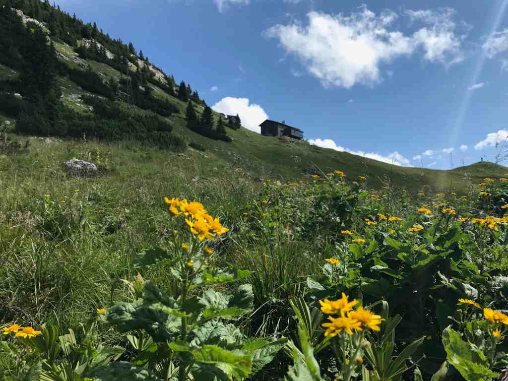 toelzer wege toelzer huette delpsjoch