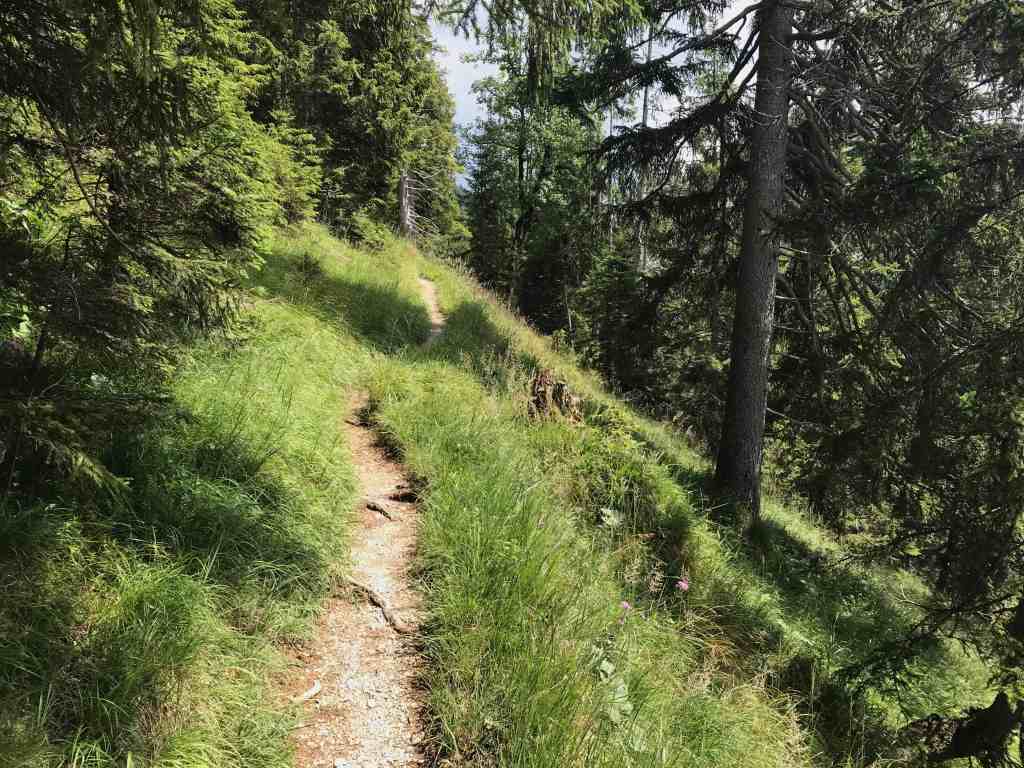 toelzer wege toelzer huette bergwald